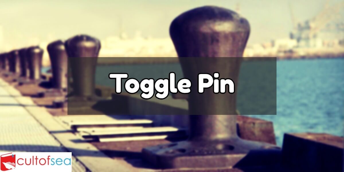 Toggle Pin