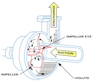 Centrifugal Pump 1